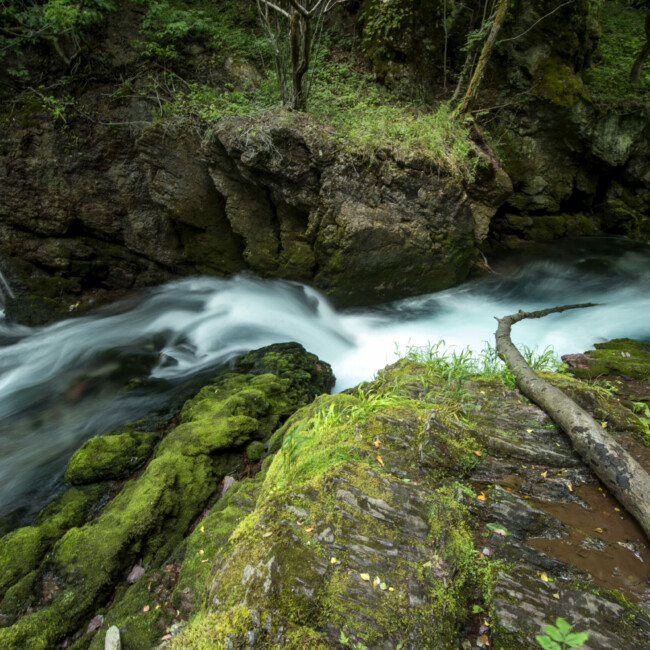 White Drini River White Drini River