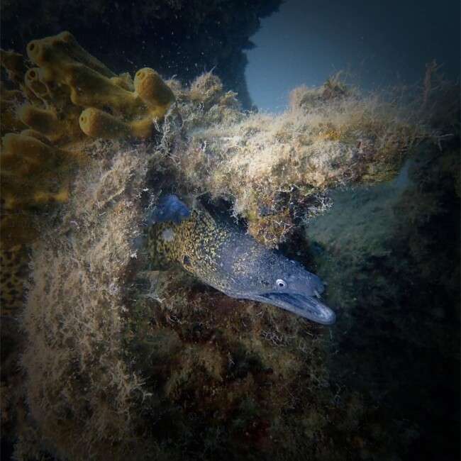 Scuba diving site Scuba diving site